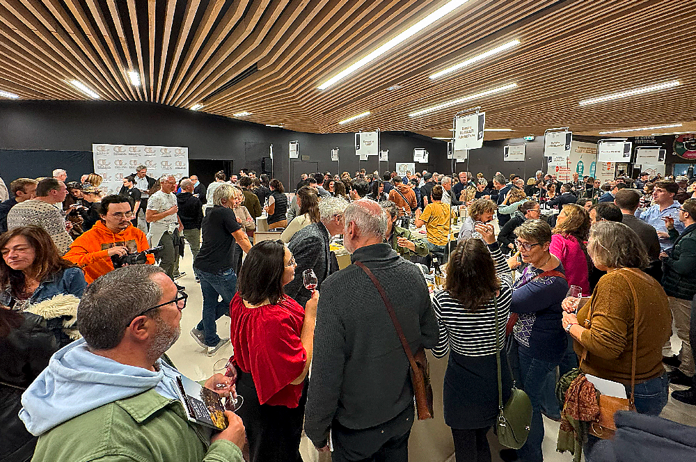 Grand Défilé IGP Pays d’OC